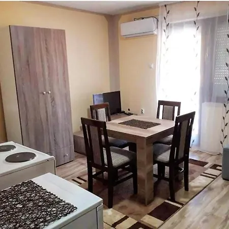 Studio Apartman Atila Soko Banja